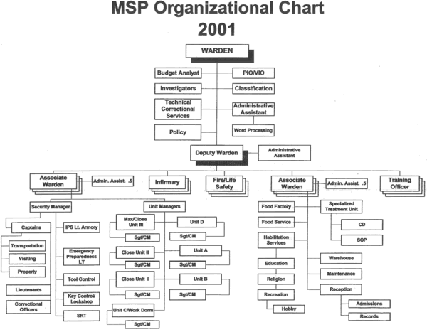Msp Org Chart