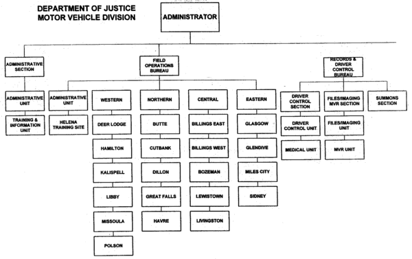 Department Of Justice Org Chart